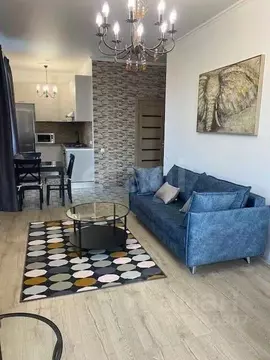 2-к кв. Санкт-Петербург ул. Победы, 13 (55.0 м)