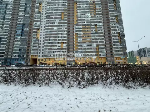 Студия Санкт-Петербург просп. Королева, 57к1 (25.0 м)