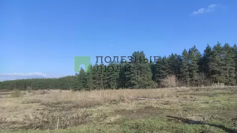 Участок в Тамбовская область, Тамбовский муниципальный округ, с. Лысые ...