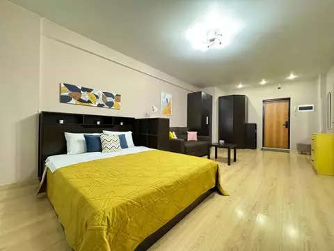 Студия Самарская область, Самара ул. Советской Армии, 238а (49.0 м)