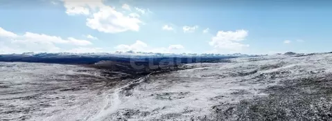 Участок в Алтай, Кош-Агачский район, Джазаторское с/пос, с. Беляши  ...