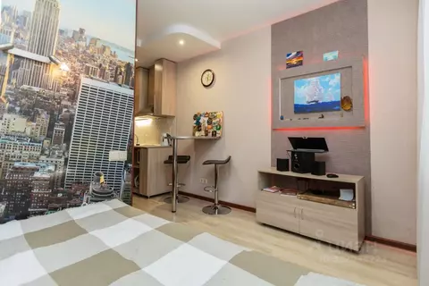 Студия Санкт-Петербург просп. Энтузиастов, 18К2 (19.2 м)