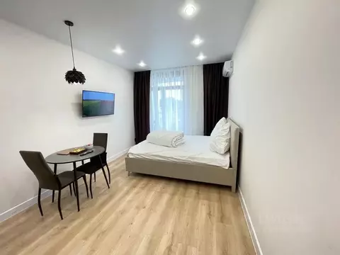 Студия Краснодарский край, Сочи Бытха мкр, ул. Ясногорская, 16/2к7 ...