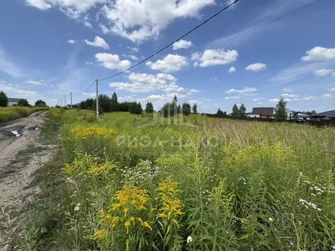 Участок в Брянская область, Брянский район, Отрадненское с/пос, с. ...