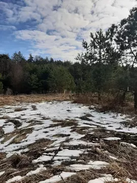 Участок в Калужская область, Дзержинский район, Льва Толстого с/пос, ...