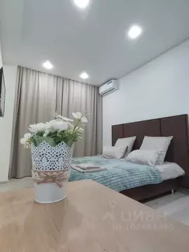 Студия Татарстан, Казань ул. Толстого, 41 (22.0 м)