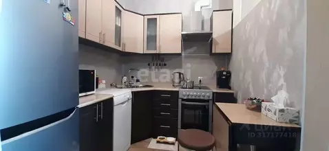 Студия Амурская область, Благовещенск ул. Василенко, 20/1 (29.2 м)