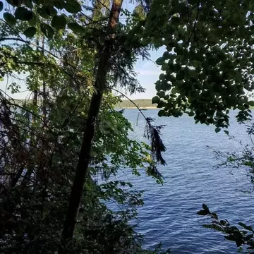 Участок в Пермский край, Пермский муниципальный округ, СНТ Черемушки ...