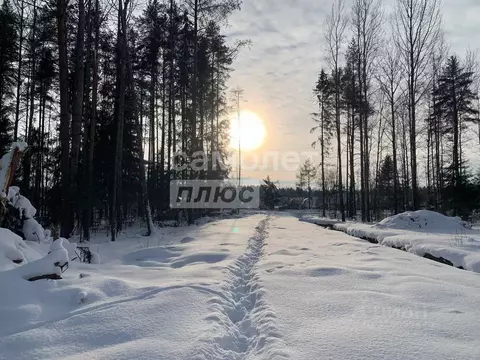 Участок в Ленинградская область, Тосно г. Тосненский район, Тосненское ...