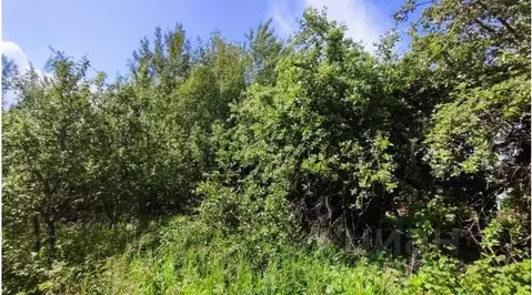 Участок в Московская область, Серпухов городской округ, д. Родионовка  ...