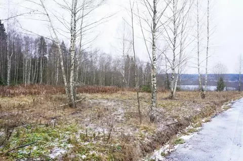 Участок в Московская область, Дмитровский муниципальный округ, Лес кп  ...