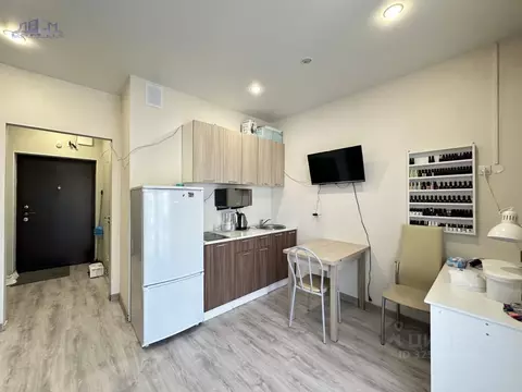 Студия Санкт-Петербург проезд Дизельный, 11к3 (22.0 м)