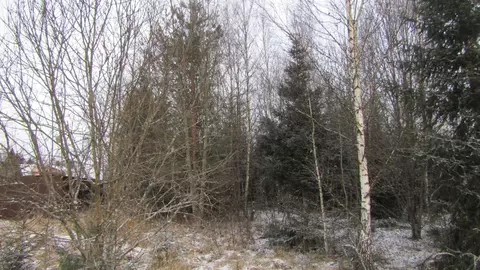 Участок в Московская область, Рузский муниципальный округ, д. Лобково  ...