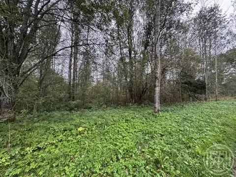 Участок в Ленинградская область, Лужский район, Заклинское с/пос, д. ...