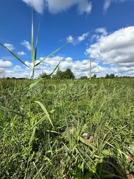 Участок в Тюменская область, Тюмень Большое Царево-1 СНТ,  (10.0 сот.)