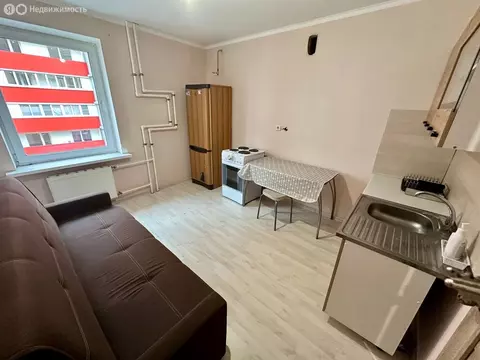 1-комнатная квартира: посёлок Шушары, Московское шоссе, 264 (39 м)