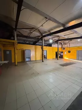 Помещение свободного назначения в Санкт-Петербург Тихая ул., 6А (300 ...