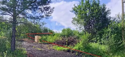 Участок в Алтай, Горно-Алтайск Алтай-3 СНТ, 36 (4.33 сот.)