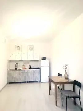 1-к кв. Санкт-Петербург ул. Верхне-Каменская, 9к1 (40.0 м)