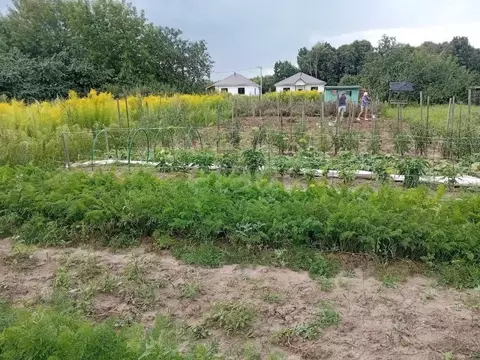 Участок в Владимирская область, Муром с. Дмитриевская Слобода, ул. ...