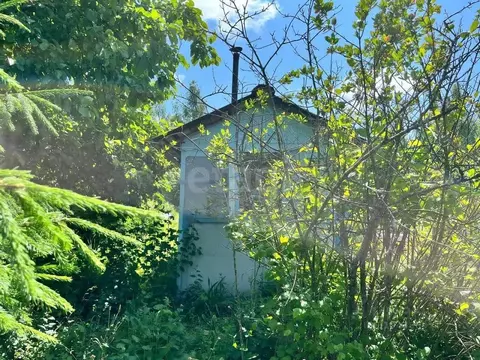 Участок в Ленинградская область, Киришский район, Глажевское с/пос, ...