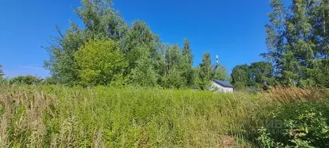 Участок в Московская область, Дубна  (8.0 сот.)