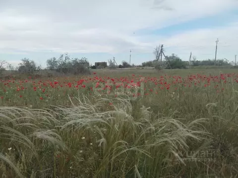 Участок в Крым, Ленинский район, Семисотское с/пос, с. Каменское ул. ...