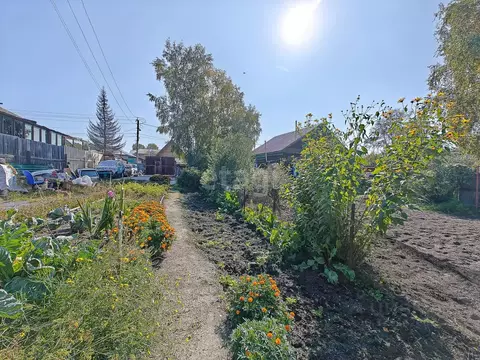 Дом в Новосибирская область, Новосибирск Хитровская ул., 65 (89 м)