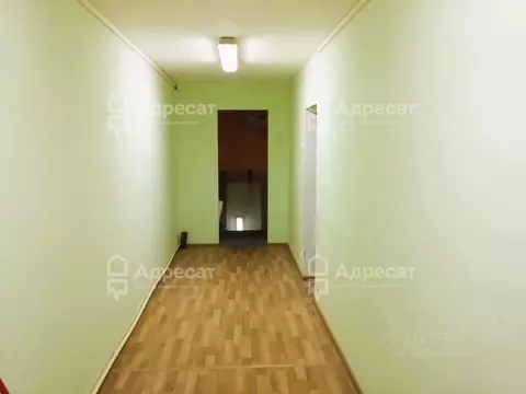 Помещение свободного назначения в Волгоградская область, Светлый Яр рп ...