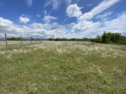 Участок в Крым, Симферопольский район, Перовское с/пос, Новозбурьевка ...