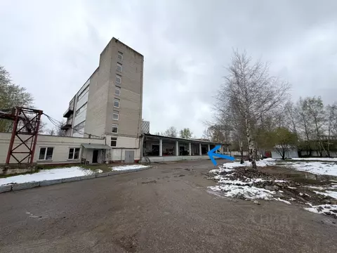 Помещение свободного назначения в Москва Никопольская ул., 6С10 (274 ...
