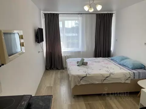 Студия Тверская область, Тверь ул. Орджоникидзе, 25Б (18.0 м)