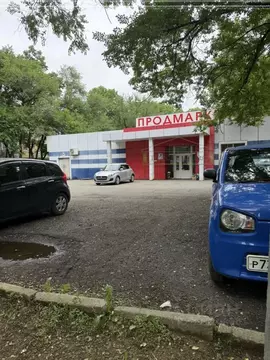 2-к кв. Приморский край, Артем ул. Ворошилова, 18 (46.8 м)