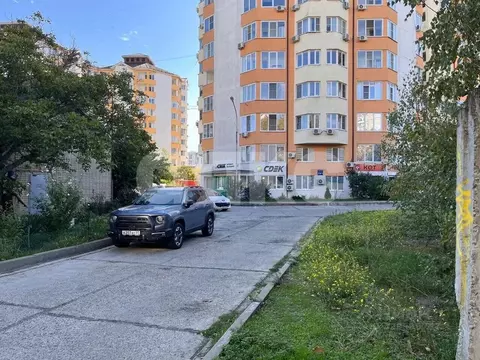 Помещение свободного назначения в Краснодарский край, Анапа ул. ...