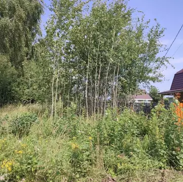 Участок в Московская область, Павлово-Посадский городской округ, д. ...