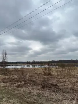 Участок в Вологодская область, Сокольский муниципальный округ, д. Шера ...