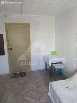 1к в 10-комнатной квартире (13 м)