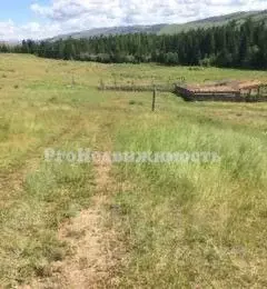 Участок в Тыва, Каа-Хемский кожуун, с. Бояровка  (8477.0 сот.)