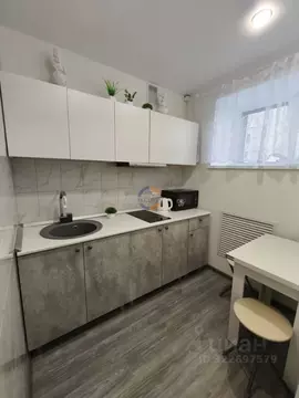 1-к кв. Новгородская область, Новгородский район, Панковское городское ...