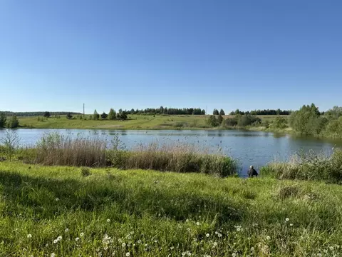 Участок в Нижегородская область, Богородский район, с. Спирино  (13.6 ...