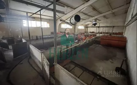 Производственное помещение в Москва д. Кузнецово,  (4000 м)