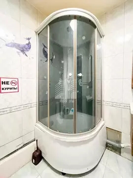 Студия Московская область, Домодедово Южный мкр, ул. Курыжова, 30 ...