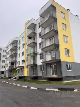 Студия Крым, Сакский район, с. Фрунзе ул. Мира, 27 (31.0 м)