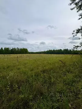 Участок в Ленинградская область, Ломоносовский район, Пениковское ...