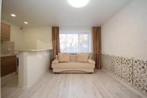 Студия Тюменская область, Тюмень Фабричная ул., 22 (25.0 м)