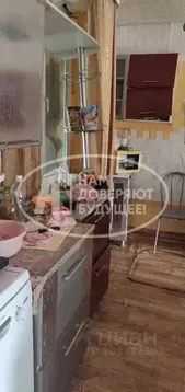 Дом в Пермский край, Чайковский городской округ, с. Зипуново ул. ...