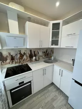 1-к кв. Омская область, Омск ул. Крупской, 14 (33.9 м)