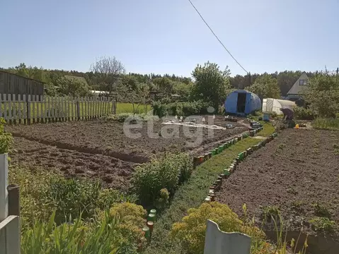 Участок в Брянская область, Брянский район, Нетьинское с/пос, Весна ...