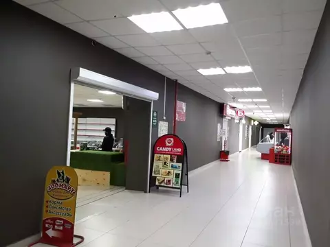 Торговая площадь в Хабаровский край, Хабаровск Трехгорная ул., 59 (20 ...