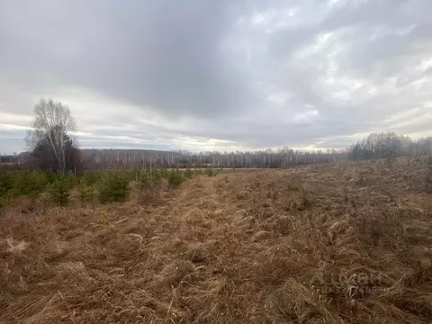 Участок в Челябинская область, Сосновский муниципальный округ М-5 ...